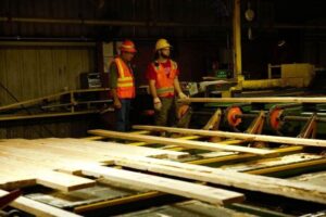 U.S. to Raise Duties on Canadian Softwood Lumber